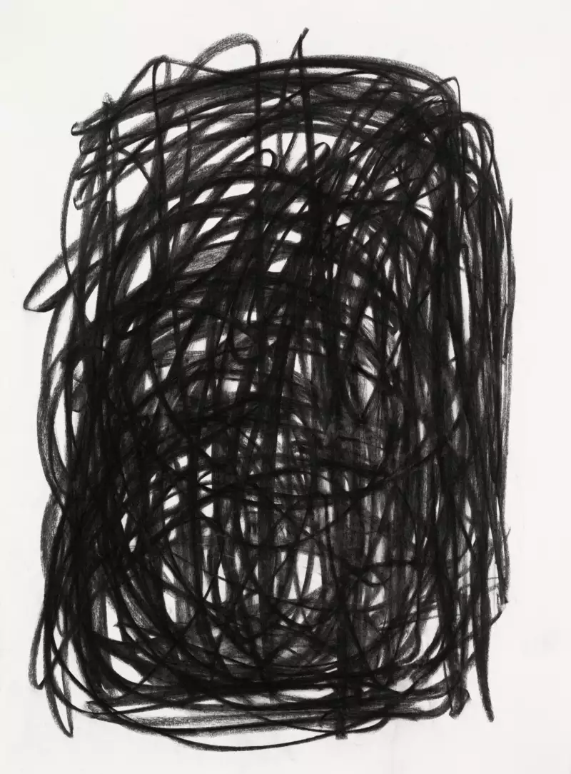 Anne-Marie Renan Sans titre Charcoal 2020