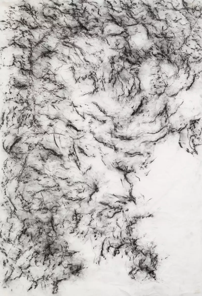 Anne-Marie Renan Sans titre Charcoal 2023